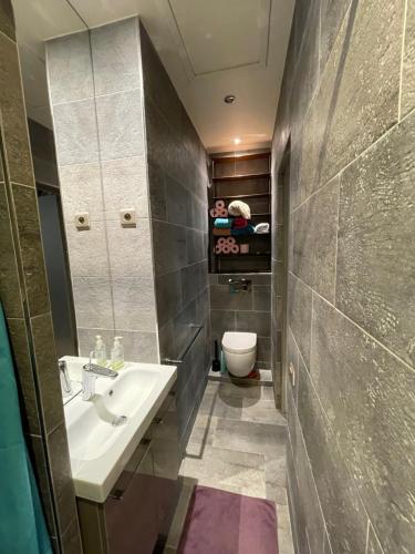 une salle de bain avec un lavabo et des toilettes dans l'établissement Paris Marais 75004 Seine River, à Paris