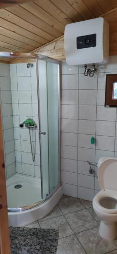 a bathroom with a shower and a toilet at Sowi Zakątek in Postomino