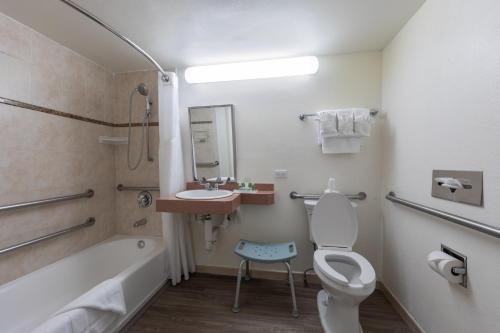 a bathroom with a tub and a toilet and a sink at Holiday Inn Hotel Port of Miami-Downtown by IHG in Miami