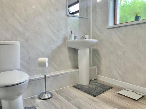a white bathroom with a toilet and a sink at Bracknell Cottage in Freystrop