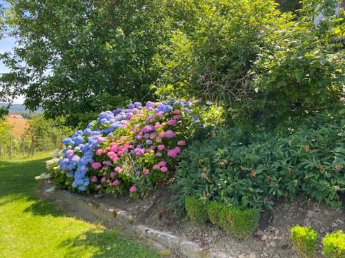 Ein Garten an der Unterkunft Apartma Jožica in Tonček