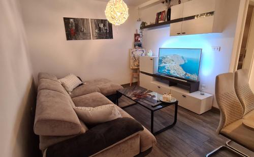Televízia a/alebo spoločenská miestnosť v ubytovaní Apartman Kokola