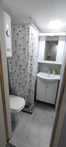 y baño con lavabo, aseo y cortina de ducha. en Apartmani DLD NS, en Novi Sad