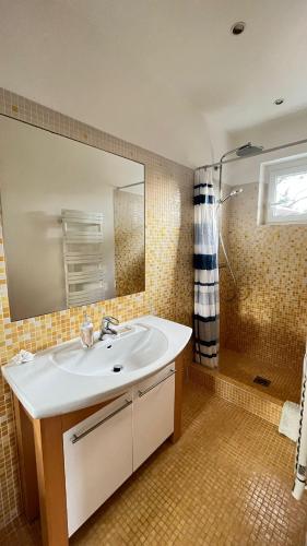 une salle de bain avec un lavabo, un miroir et une douche dans l'établissement Les Térrasses de Saint-Tropez, à Saint-Tropez
