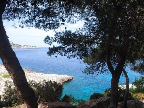a view of a body of water from between two trees at Casa Trekking Salento Marittima Di Diso in Marittima