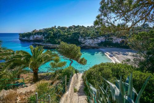 a view of a beach with blue water and palm trees at Can Yuca II in Cala Mondrago