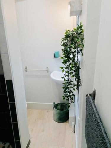 - une salle de bains avec une plante dans un pot à côté des toilettes dans l'établissement LE GREEN 50 m de la plage en baie de Somme, à Cayeux-sur-Mer