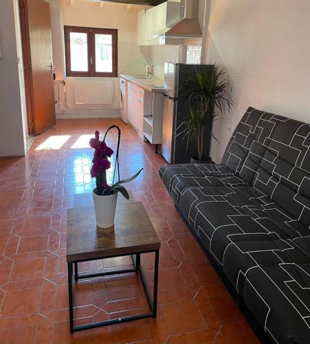 T2 Aix centre climatisé