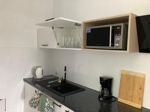 a small kitchen with a sink and a microwave at Kamienica nad Maltą- Mieszkania nad Jeziorem Maltańskim in Poznań