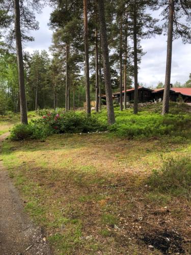 a field with trees and a house in the background at Timber cottages with jacuzzi and sauna near lake Vänern in Karlstad