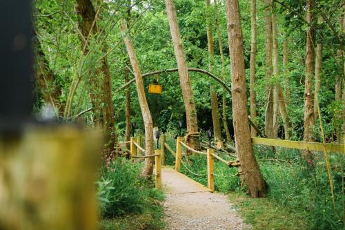 a path in a forest with a wooden fence at Emlyn's Coppice - Luxury Woodland Glamping in Holywell
