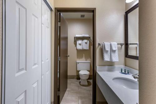 a bathroom with a white sink and a toilet at Best Western Sunridge Inn & Conference Center in Baker City