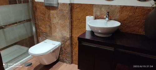 a bathroom with a toilet and a sink and a shower at Vivenda das Torrinhas in Barcelos