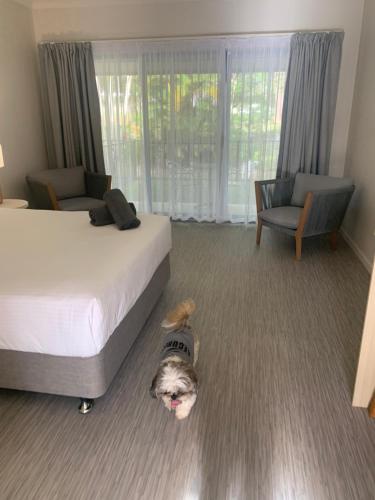 Una cama o camas en una habitación de Woolgoolga Coast Motel