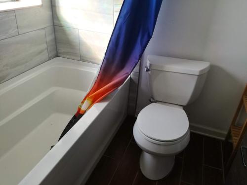 Most Economical Room in Center Washington DC في واشنطن: مظلة ملونة موجودة في حوض الاستحمام بجوار المرحاض