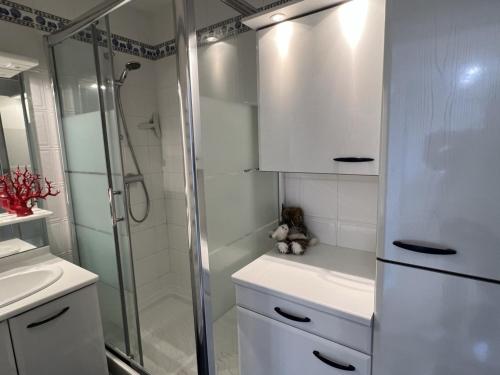 La salle de bains est pourvue d'une douche et d'un ours en peluche. dans l'établissement Appartement 2 pièces avec balcon, ascenseur, cuisine équipée - Cabourg - FR-1-487-340, à Cabourg