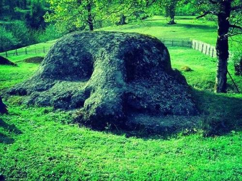 a large rock in the grass in a field at Sim Guesthouse in Sım
