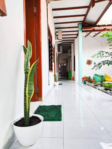 a plant in a white pot in a hallway at Homey Guesthouse Kertajaya (Syariah) in Surabaya