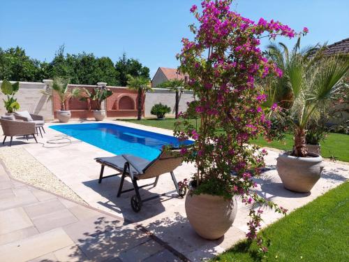 a garden with a pool and a table and flowers at Dr Becsey Luxury Apartman in Békéscsaba