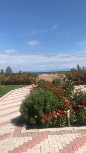 Un paisaje natural cerca de la casa vacacional