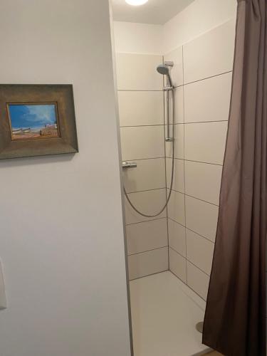 a shower in a bathroom with a picture on the wall at Ferienwohnung Nedwed in Pörtschach am Wörthersee