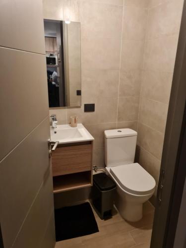 a bathroom with a toilet and a sink and a mirror at Departamento en pucon in Pucón