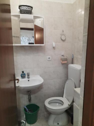 a small bathroom with a toilet and a sink at Apartmani Ana-Lora in Lopar