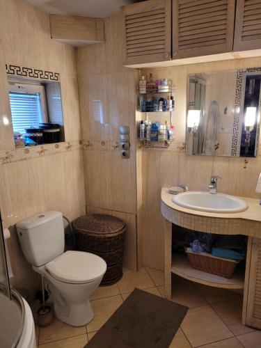uma casa de banho com um WC e um lavatório em Duńska house em Kielce