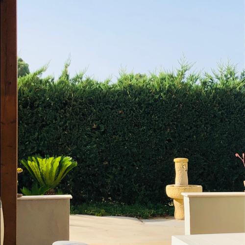a green hedge with some plants in a yard at Casa Giulia in Niscemi