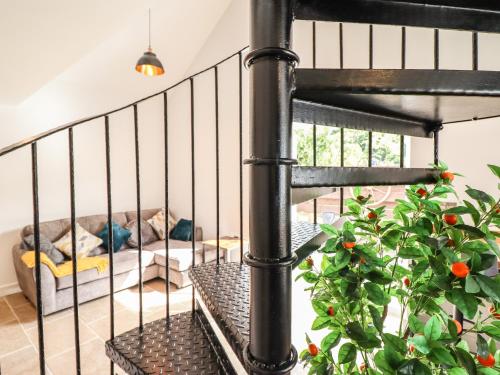 a spiral staircase with a plant in a living room at Glyndwr in Betws-y-coed