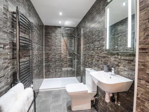 a bathroom with a toilet and a sink and a shower at Glyndwr in Betws-y-coed