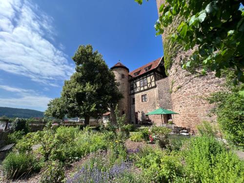 Zahrada ubytování ALTE FÖRSTEREI - Elegantes Apartment in der historischen Hinterburg Schlitz - nahe Fulda und Bad Hersfeld