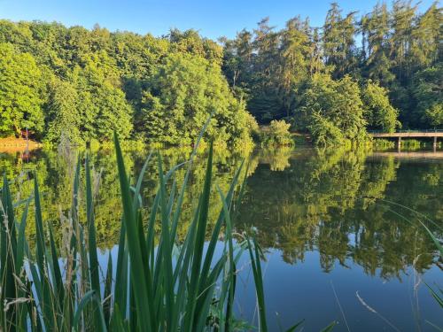 a view of a lake with trees and a bridge at Airport Rooms in Prague