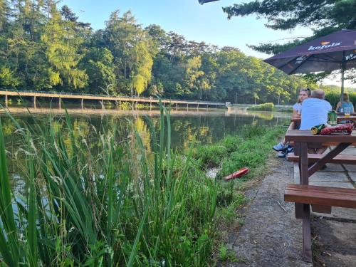 a group of people sitting at a picnic table by a lake at Airport Rooms in Prague