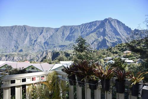 a white fence with potted plants in front of a mountain at Vétiver in Cilaos