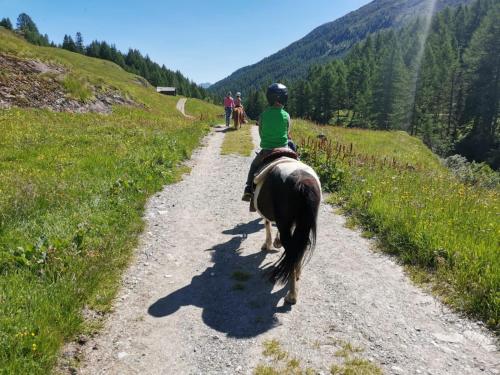 a person riding a horse down a dirt road at Ferienwohnung Lazins in Pfelders