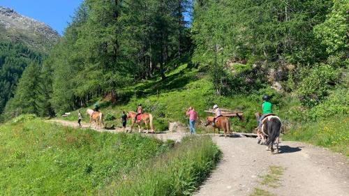 a group of people riding horses on a dirt road at Ferienwohnung Lazins in Pfelders