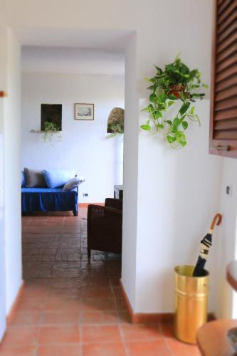 House in the Wild – Photos 5