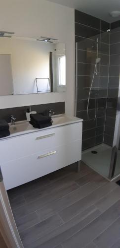 een badkamer met een wastafel en een douche bij Maison neuve 66 bis in Saint-Martin-la-Rivière