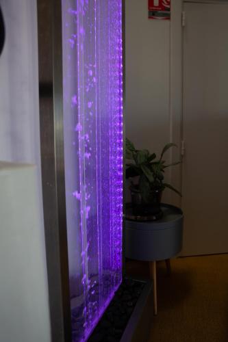 a purple glass wall in a room with a plant at Hotel La Casa in Le Barcarès