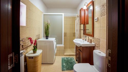 A bathroom at CASUTA CU FLORI