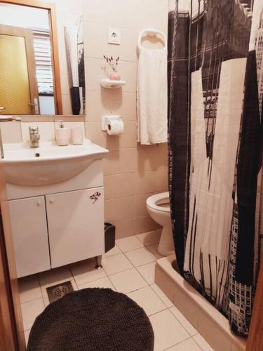 a bathroom with a sink and a toilet at Apartman Nikos in Zadar