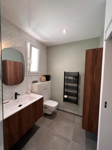 une salle de bains avec lavabo, toilettes et miroir dans l'établissement Maison de pêcheur 1900, à Saint-Mandrier-sur-Mer