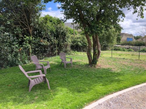 two benches sitting in the grass next to a tree at Gîte T'ché Dédée in La Cambe