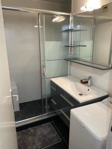 uma casa de banho com um lavatório e um chuveiro em Joli appartement proche océan et centre ville em Lacanau