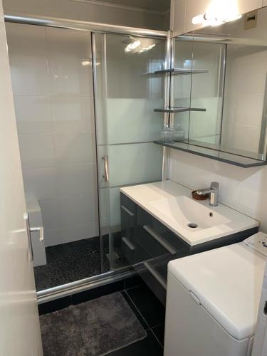 une salle de bain avec un lavabo et une douche dans l'établissement Joli appartement proche océan et centre ville, à Lacanau