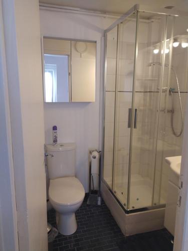 une salle de bain avec toilettes et douche en verre dans l'établissement Les pavés bleus - Cœur de Deauville, à Deauville
