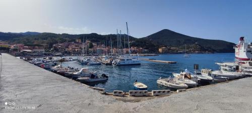 a bunch of boats are docked in a harbor at Casa della spiaggetta in Rio Marina