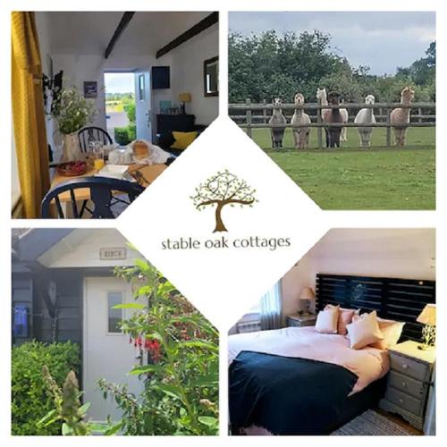 a collage of pictures of a bedroom and a tree at Birch Cottage with private wood fire hot tub in Harrietsham