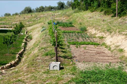 Villa Parruccia – Photos 5